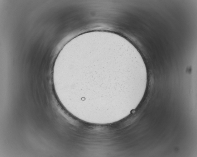 X0000111671375200908281100