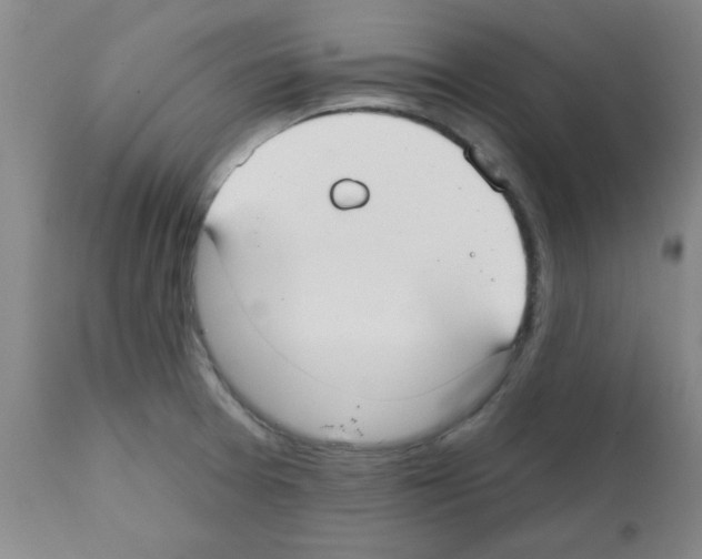 X0000111671377200908281100