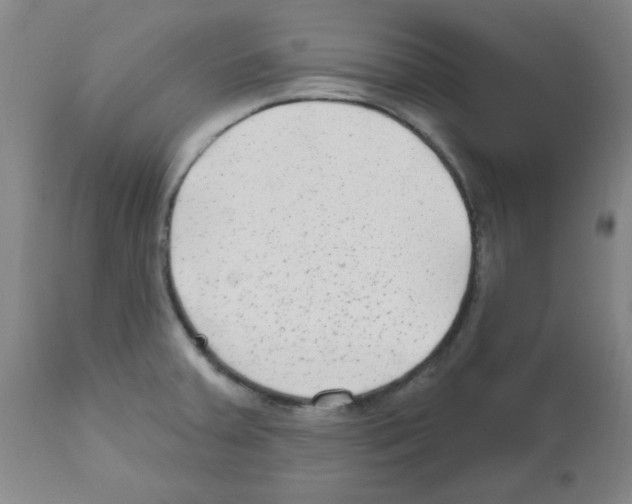 X0000111671379200908281100