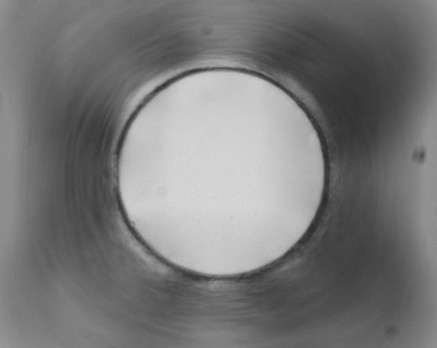 X0000111671380200908281100