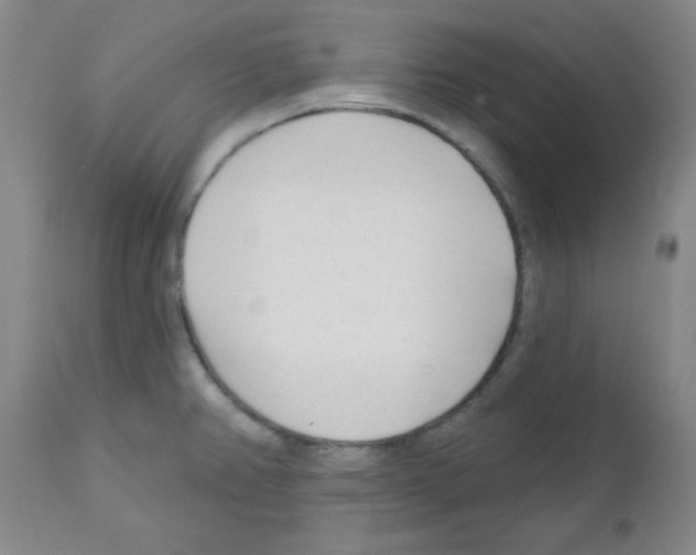 X0000111671382200908281100