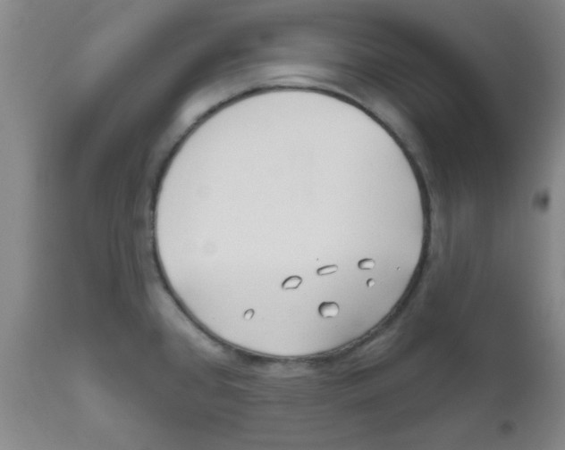 X0000111671384200908281100