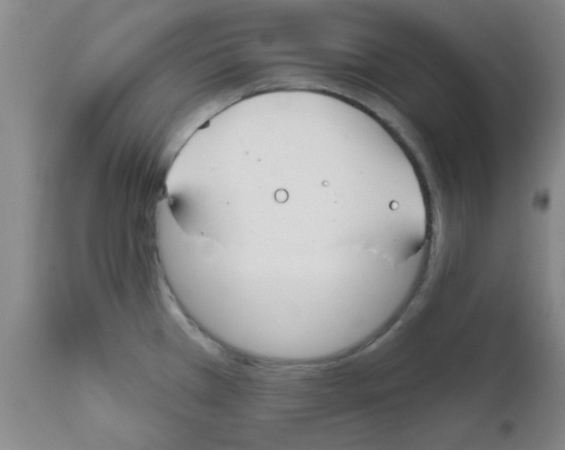 X0000111671385200908281100