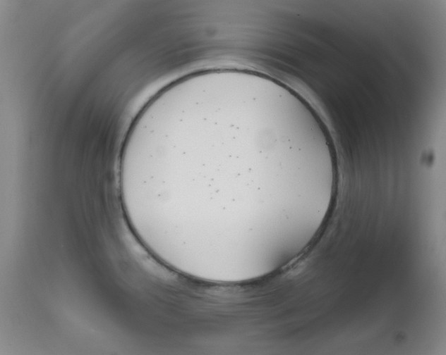 X0000111671388200908281100