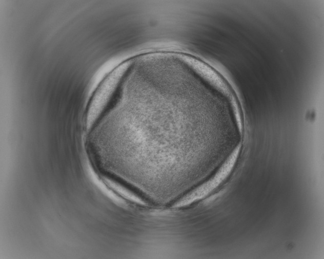 X0000111671389200908281100