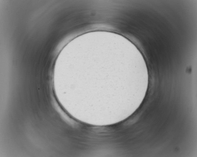 X0000111671391200908281100