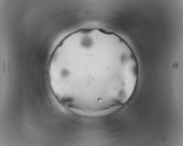 X0000111671392200908281100