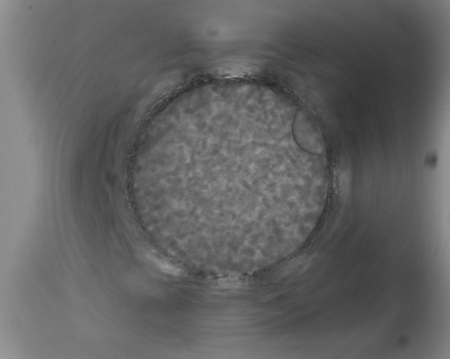 X0000111671393200908281100