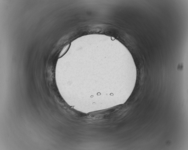 X0000111671394200908281100