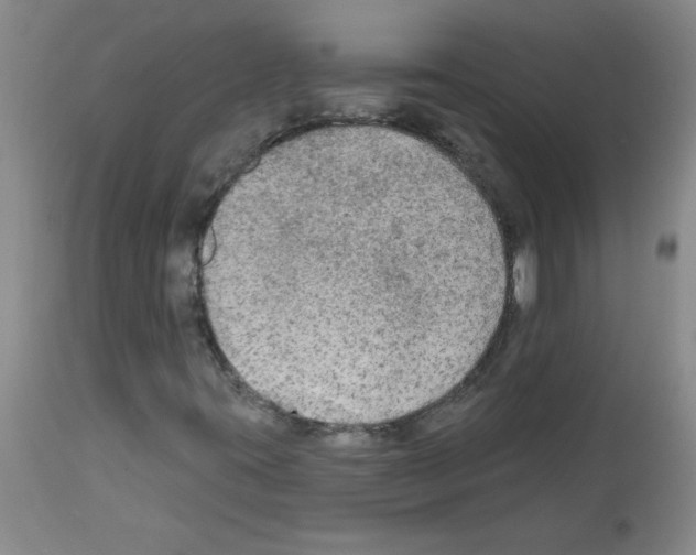 X0000111671395200908281100