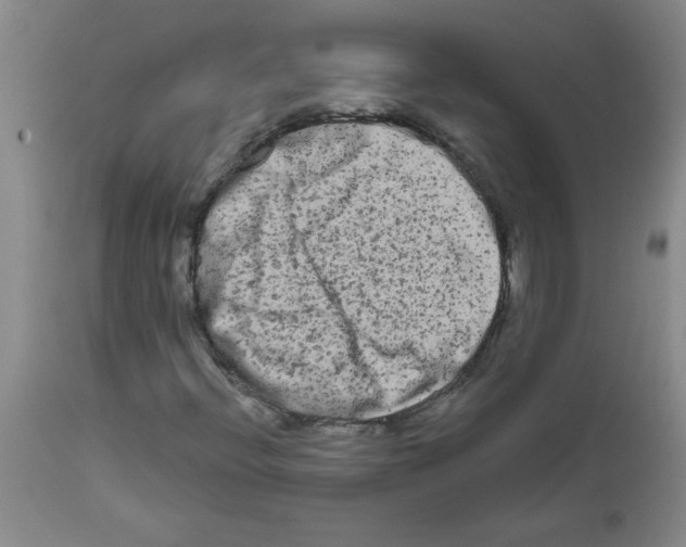 X0000111671396200908281100