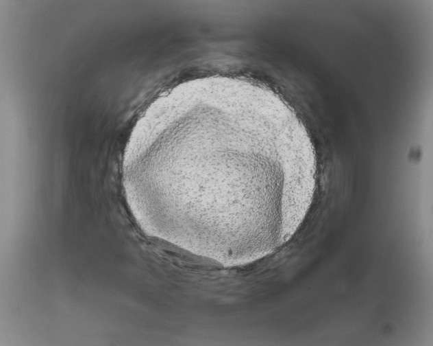 X0000111671397200908281100