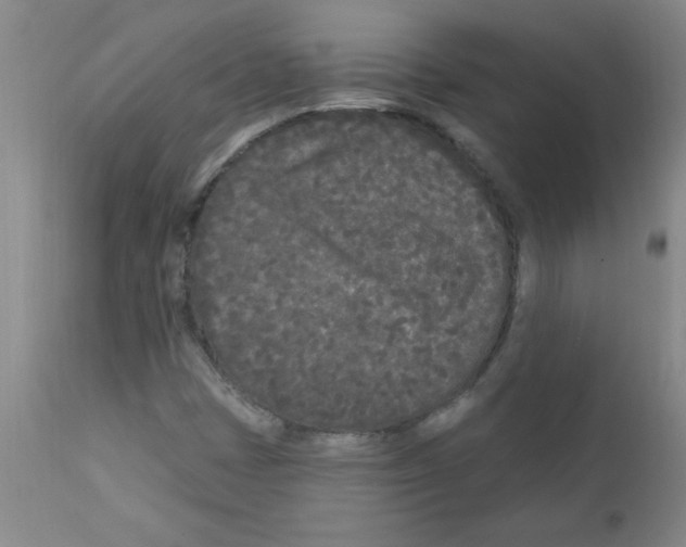 X0000111671401200908281100