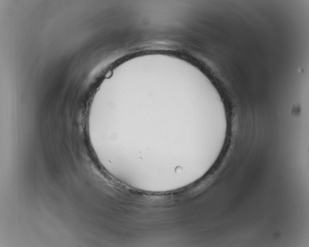 X0000111671402200908281100