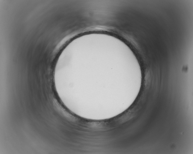 X0000111671404200908281100