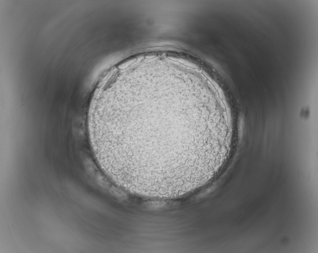 X0000111671405200908281100