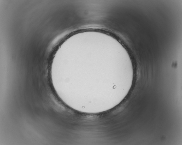 X0000111671406200908281100