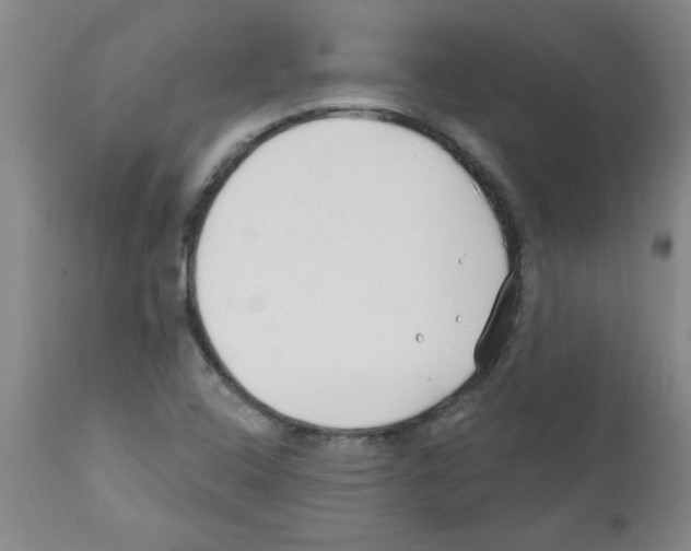 X0000111671408200908281100