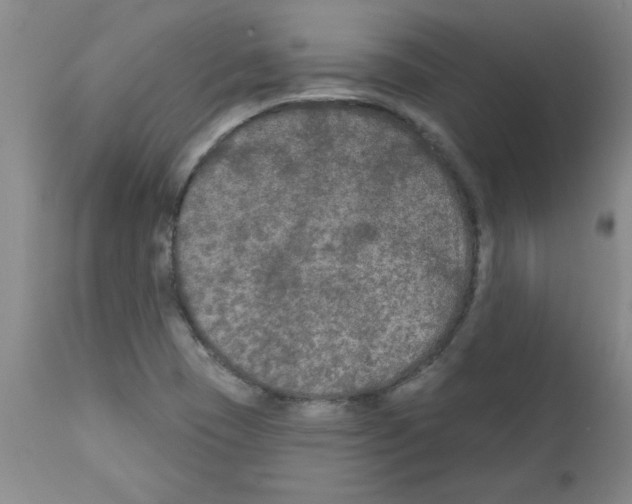 X0000111671409200908281100