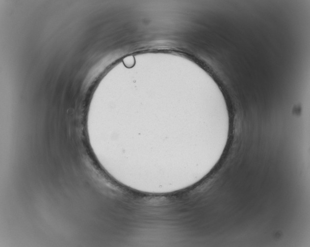 X0000111671410200908281100