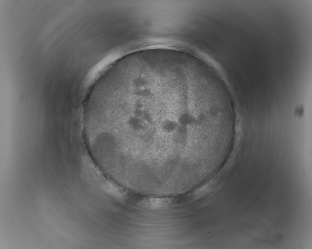 X0000111671411200908281100