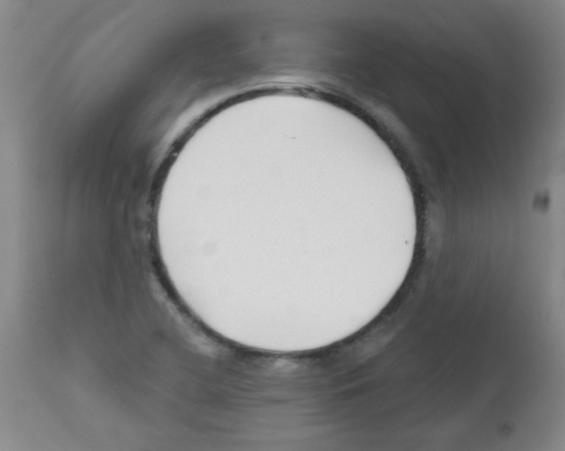 X0000111671412200908281100