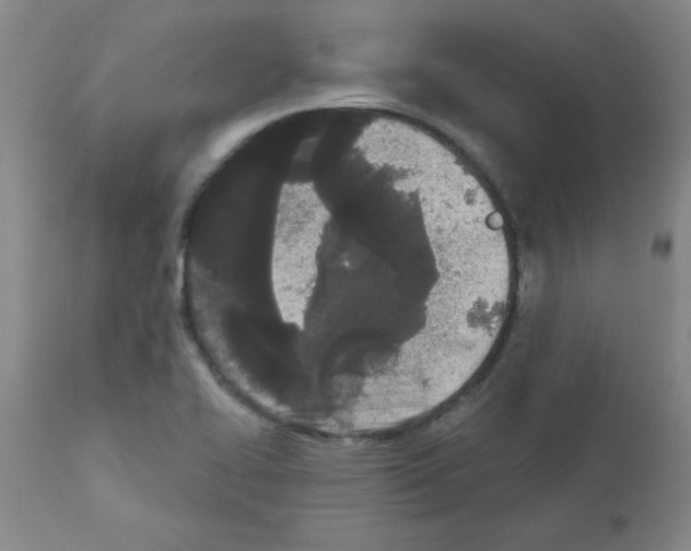 X0000111671414200908281100