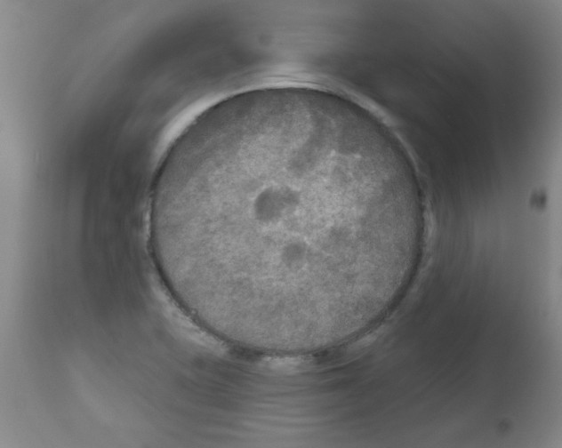 X0000111671415200908281100