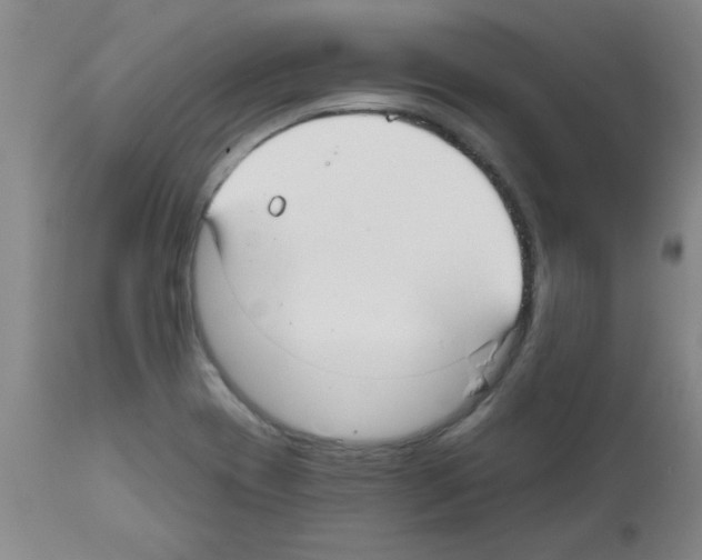 X0000111671417200908281100