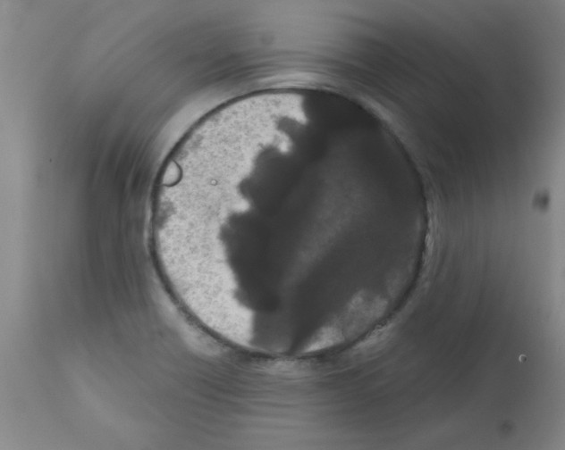 X0000111671418200908281100