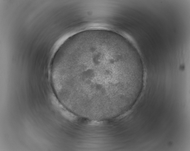 X0000111671419200908281100