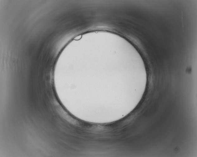 X0000111671420200908281100