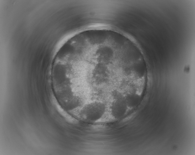 X0000111671421200908281100