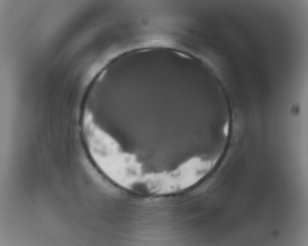 X0000111671422200908281100