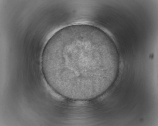 X0000111671423200908281100