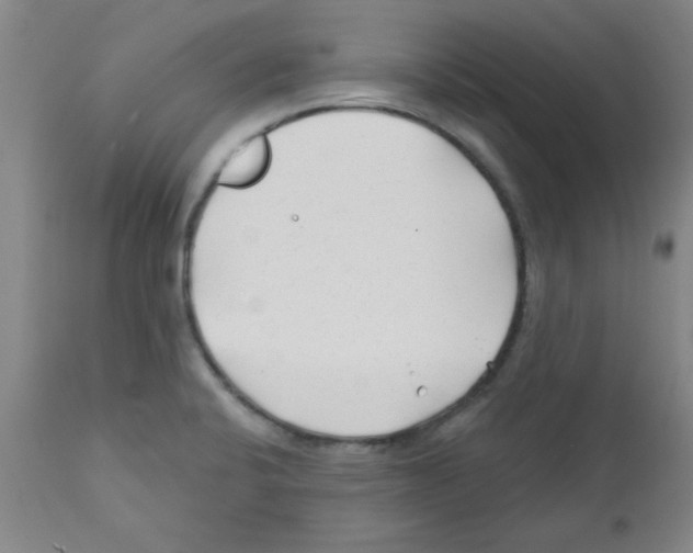 X0000111671424200908281100