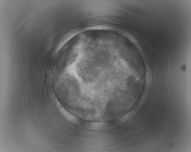 X0000111671425200908281100