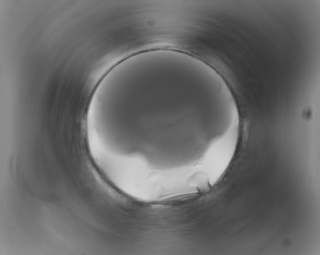 X0000111671428200908281100