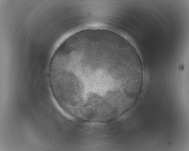 X0000111671429200908281100