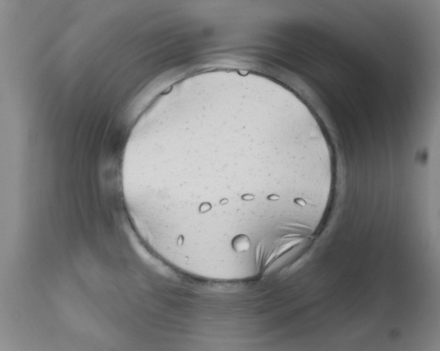 X0000111671433200908281100