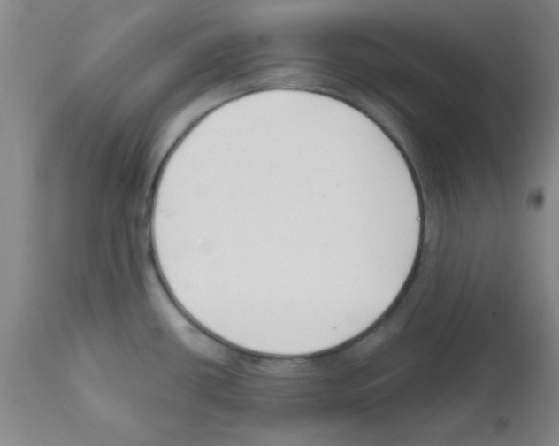 X0000111671434200908281100