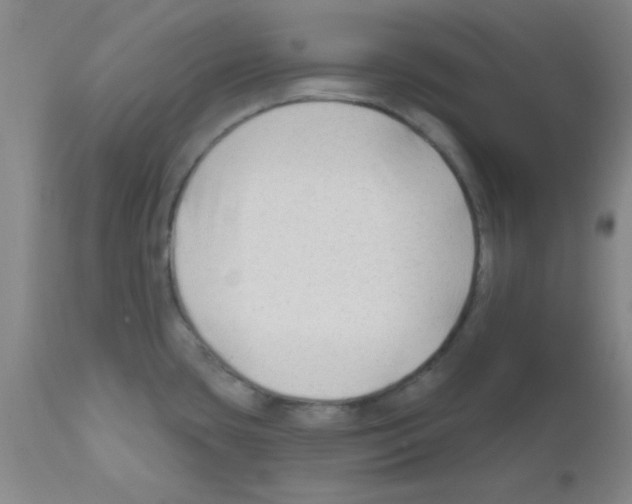 X0000111671435200908281100