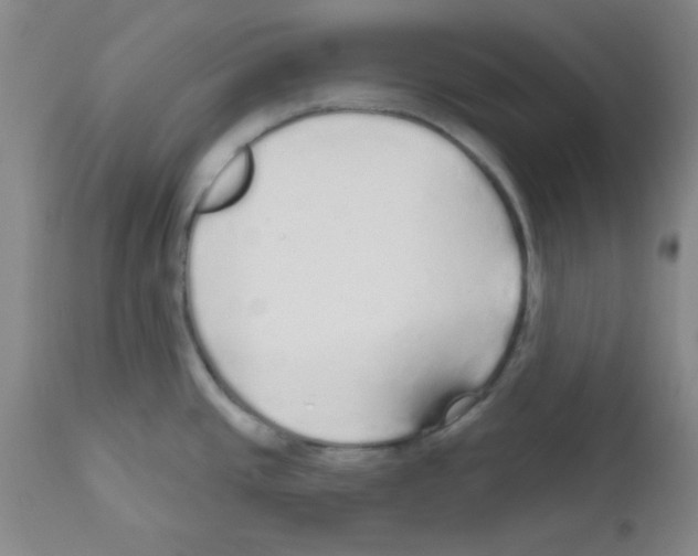 X0000111671437200908281100