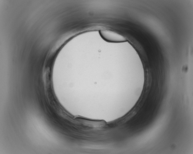 X0000111671438200908281100