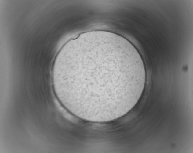 X0000111671439200908281100