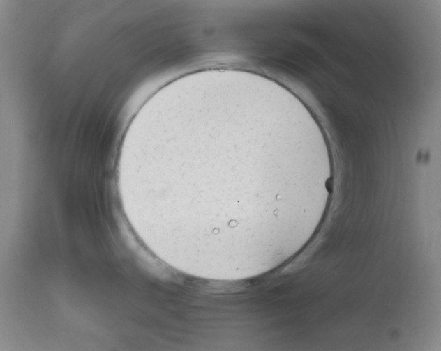 X0000111671440200908281100