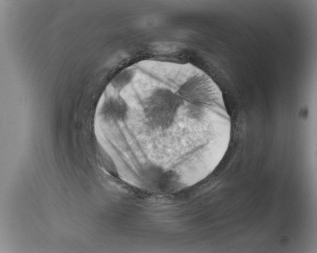 X0000111671441200908281100