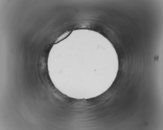 X0000111671442200908281100