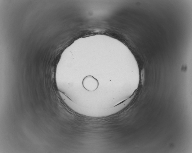 X0000111671443200908281100