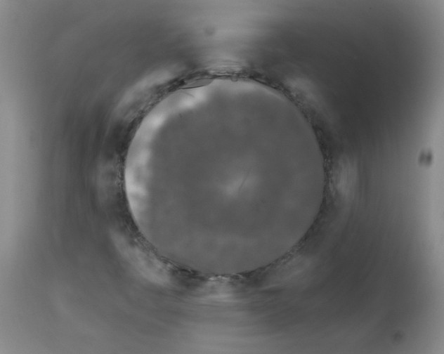 X0000111671445200908281059